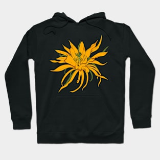 Exotic sun flower Hoodie